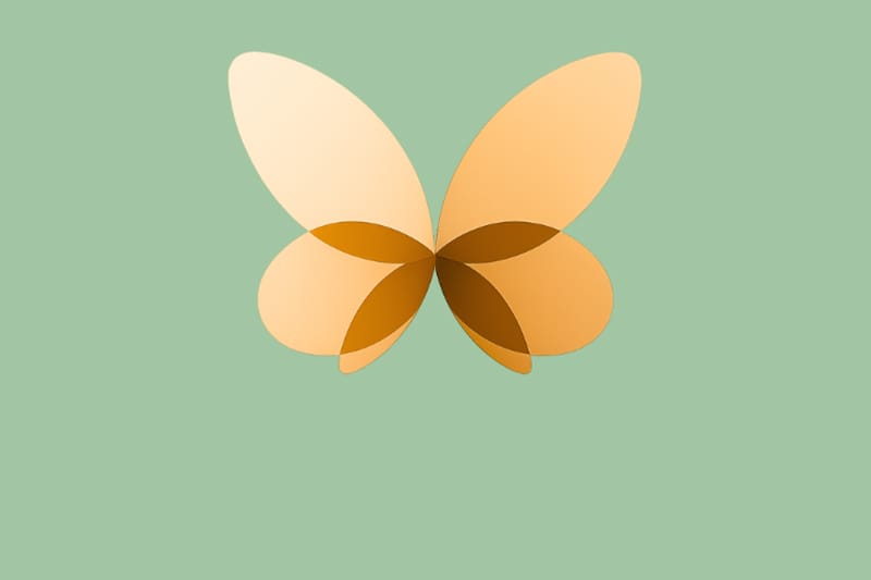 Schildklieraandoeningen